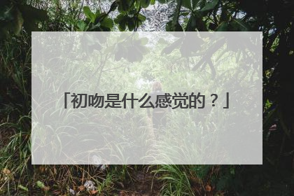 初吻是什么感觉的？