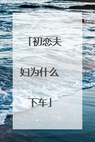 初恋夫妇为什么下车