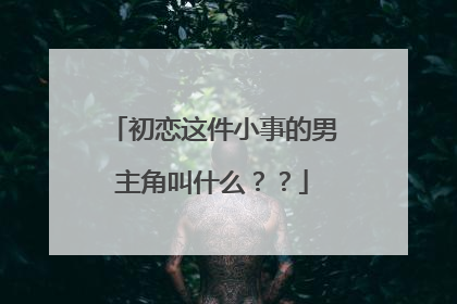 初恋这件小事的男主角叫什么？？