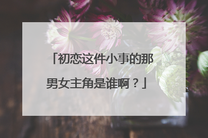 初恋这件小事的那男女主角是谁啊?