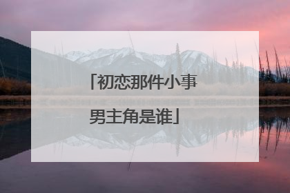 初恋那件小事男主角是谁