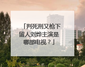 判死刑又枪下留人刘烨主演是哪部电视?