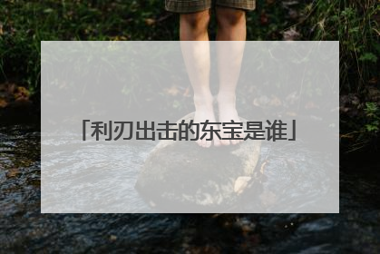 利刃出击的东宝是谁