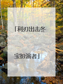利刃出击冬宝扮演者