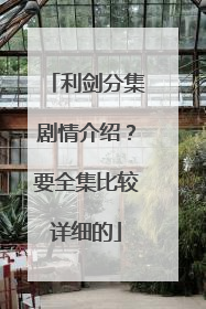 利剑分集剧情介绍？要全集比较详细的