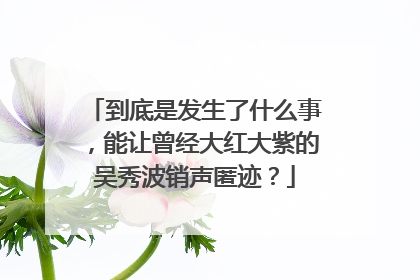 到底是发生了什么事,能让曾经大红大紫的吴秀波销声匿迹?