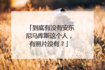 到底有没有安东尼马库斯这个人,有照片没有?