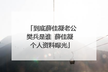 到底薛佳凝老公樊兵是谁 薛佳凝个人资料曝光