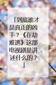到底谁才是真正的凶手？《在劫难逃》这部电视剧是讲述什么的？