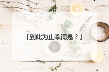 到此为止歌词是？