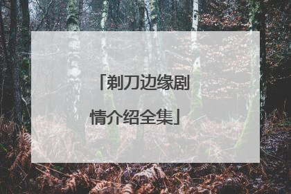 剃刀边缘剧情介绍全集