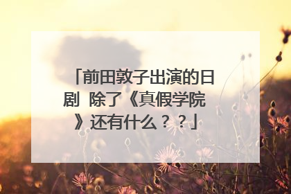 前田敦子出演的日剧 除了《真假学院》还有什么??