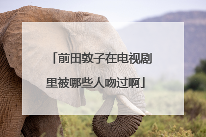 前田敦子在电视剧里被哪些人吻过啊