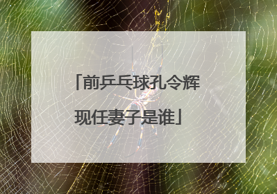 前乒乓球孔令辉现任妻子是谁