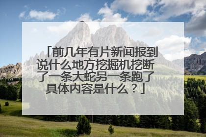 前几年有片新闻报到说什么地方挖掘机挖断了一条大蛇另一条跑了具体内容是什么？