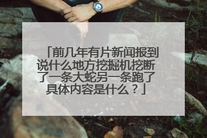 前几年有片新闻报到说什么地方挖掘机挖断了一条大蛇另一条跑了具体内容是什么？