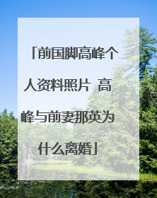 前国脚高峰个人资料照片 高峰与前妻那英为什么离婚