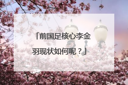 前国足核心李金羽现状如何呢？