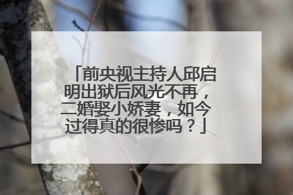 前央视主持人邱启明出狱后风光不再，二婚娶小娇妻，如今过得真的很惨吗？