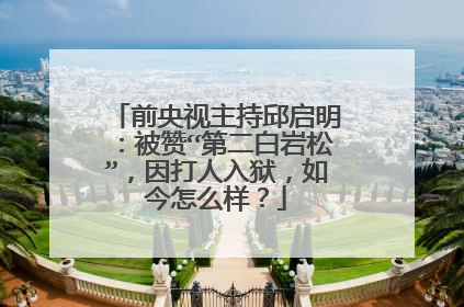 前央视主持邱启明:被赞“第二白岩松”,因打人入狱,如今怎么样?