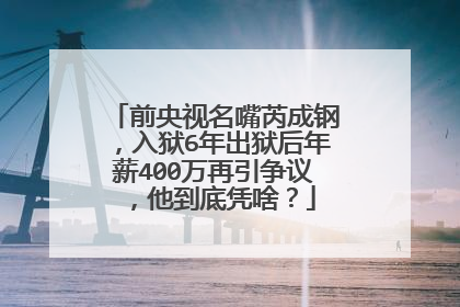 前央视名嘴芮成钢，入狱6年出狱后年薪400万再引争议，他到底凭啥？