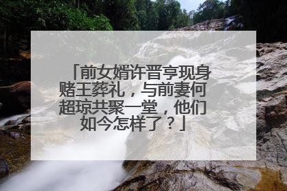前女婿许晋亨现身赌王葬礼,与前妻何超琼共聚一堂,他们如今怎样了?