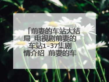 前妻的车站大结局 电视剧前妻的车站1-37集剧情介绍 前妻的车站全集大结局