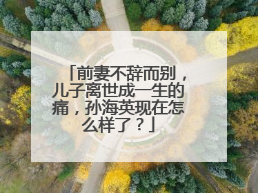 前妻不辞而别,儿子离世成一生的痛,孙海英现在怎么样了?
