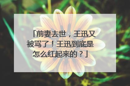 前妻去世，王迅又被骂了！王迅到底是怎么红起来的？