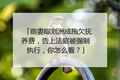 前妻曝刘洲成拖欠抚养费，告上法庭被强制执行，你怎么看？