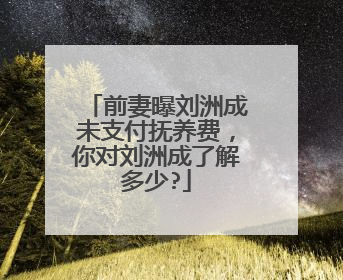 前妻曝刘洲成未支付抚养费，你对刘洲成了解多少?