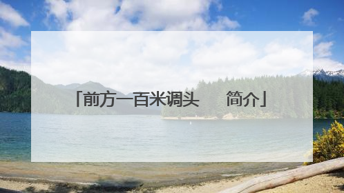 前方一百米调头 简介