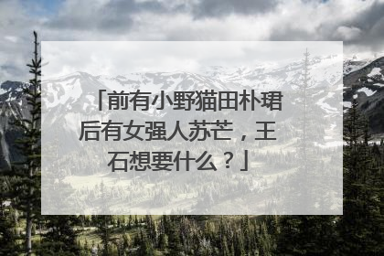 前有小野猫田朴珺后有女强人苏芒，王石想要什么？