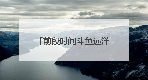 前段时间斗鱼远洋君买博越时带的俩美女是谁？和远洋君有什么关系？