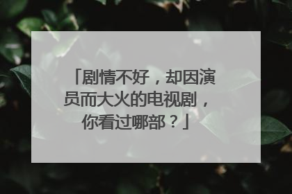 剧情不好，却因演员而大火的电视剧，你看过哪部？