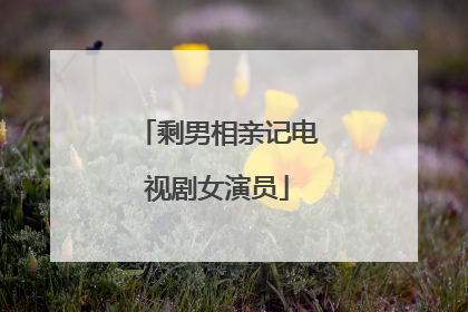 剩男相亲记电视剧女演员