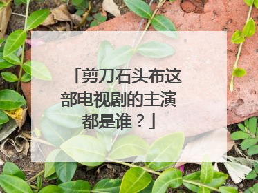 剪刀石头布这部电视剧的主演都是谁?