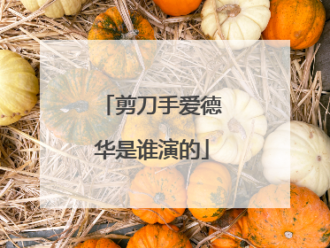 剪刀手爱德华是谁演的