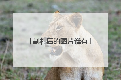 割礼后的图片谁有