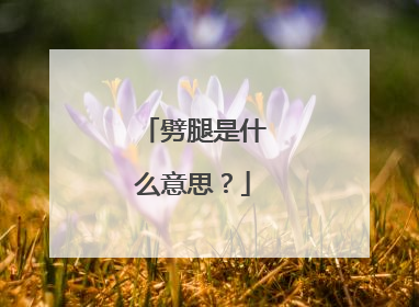 劈腿是什么意思?