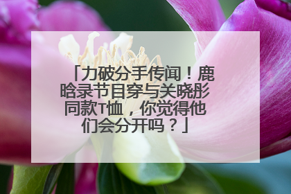 力破分手传闻！鹿晗录节目穿与关晓彤同款T恤，你觉得他们会分开吗？