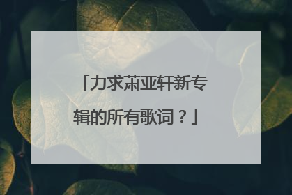 力求萧亚轩新专辑的所有歌词？
