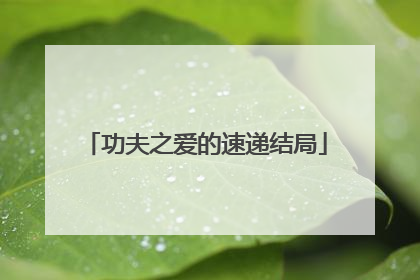 功夫之爱的速递结局