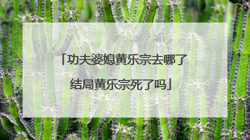 功夫婆媳黄乐宗去哪了 结局黄乐宗死了吗