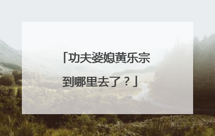 功夫婆媳黄乐宗到哪里去了？