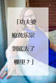功夫婆媳黄乐宗到底去了哪里?