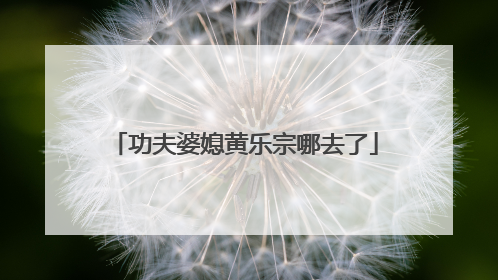 功夫婆媳黄乐宗哪去了