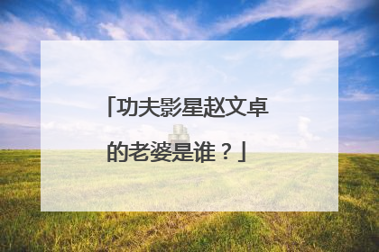 功夫影星赵文卓的老婆是谁？