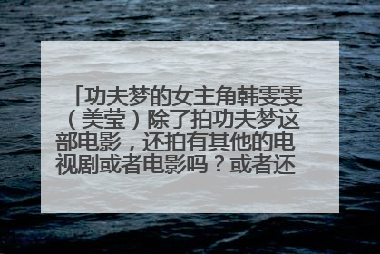 功夫梦的女主角韩雯雯（美莹）除了拍功夫梦这部电影，还拍有其他的电视剧或者电影吗？或者还有其他视频吗