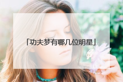 功夫梦有哪几位明星